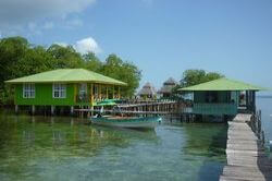 Bocas del toro