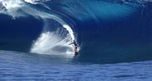 salsa brava wave